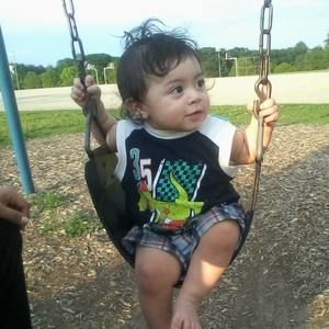 Meet your Posher, Daisy